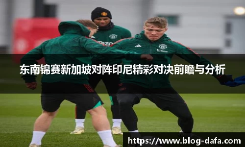 东南锦赛新加坡对阵印尼精彩对决前瞻与分析